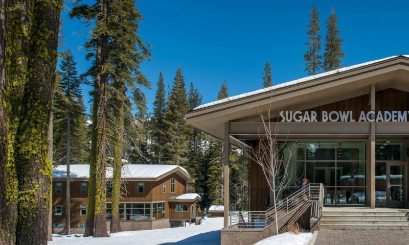 sugar-bowl-e1597178599933-800×480-cropped